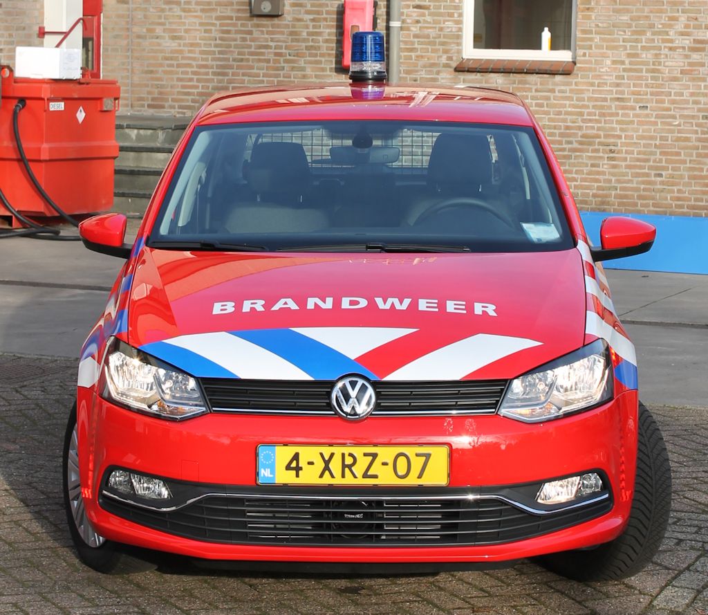 Polo voor